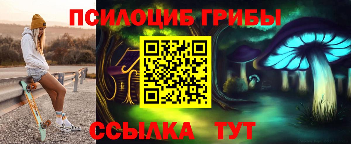 Псилоцибиновые грибы GOLDEN TEACHER  Псилоцибиновые грибы мицелий  Нижнекамск  Вход с VPN 