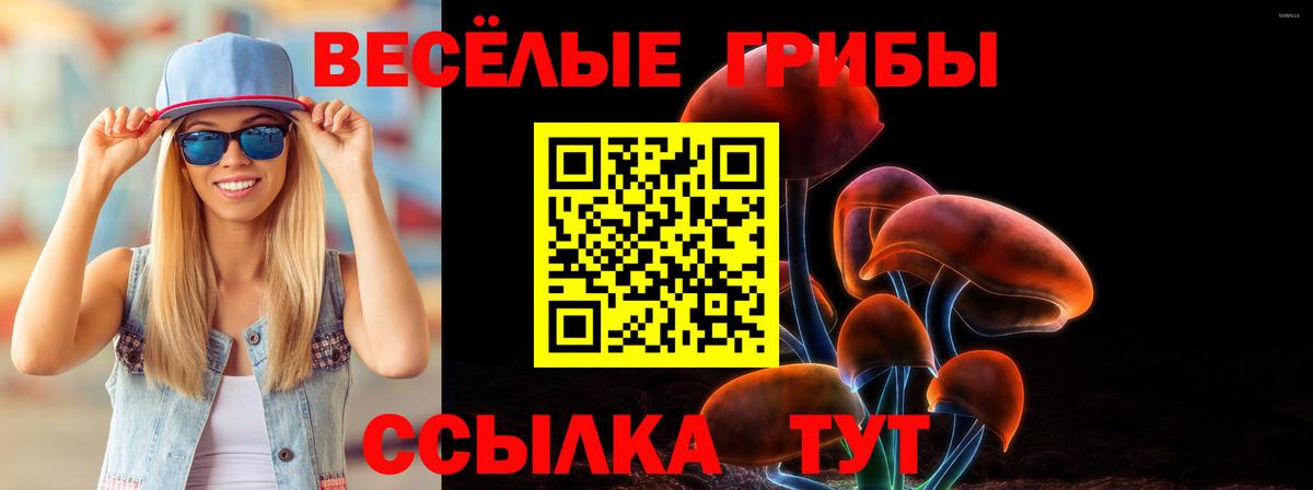 Галлюциногенные грибы Cubensis Нижнекамск